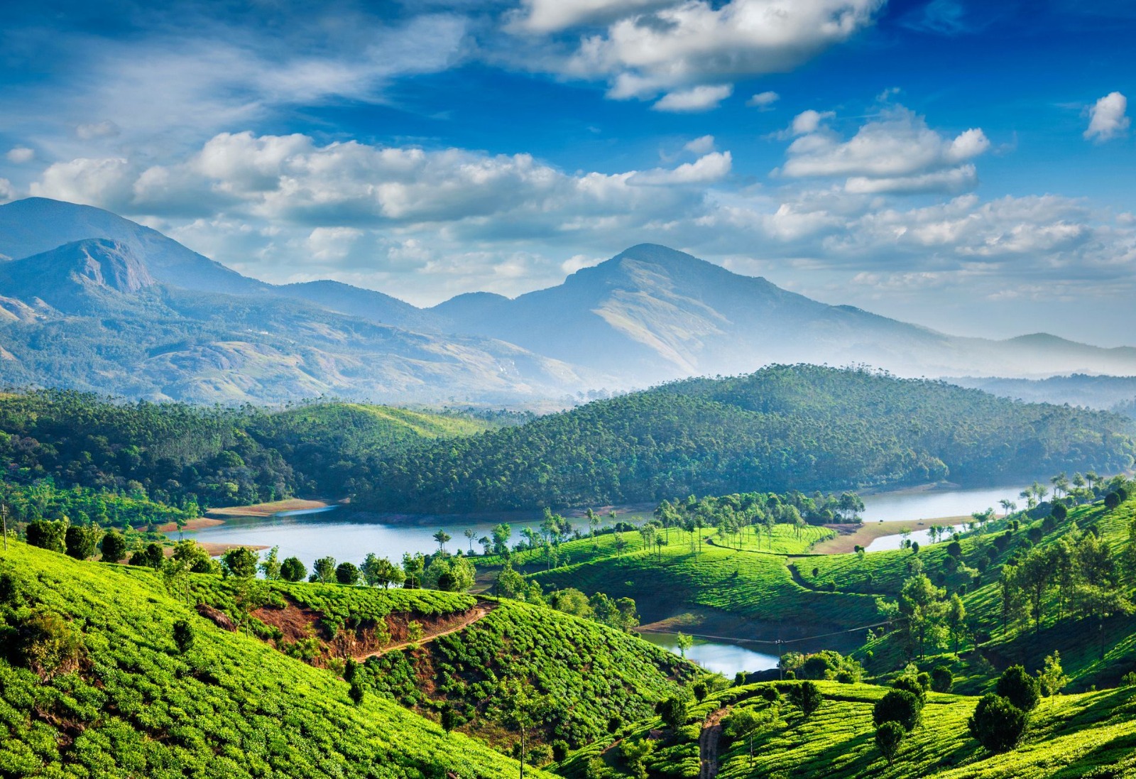 Day 03: Munnar